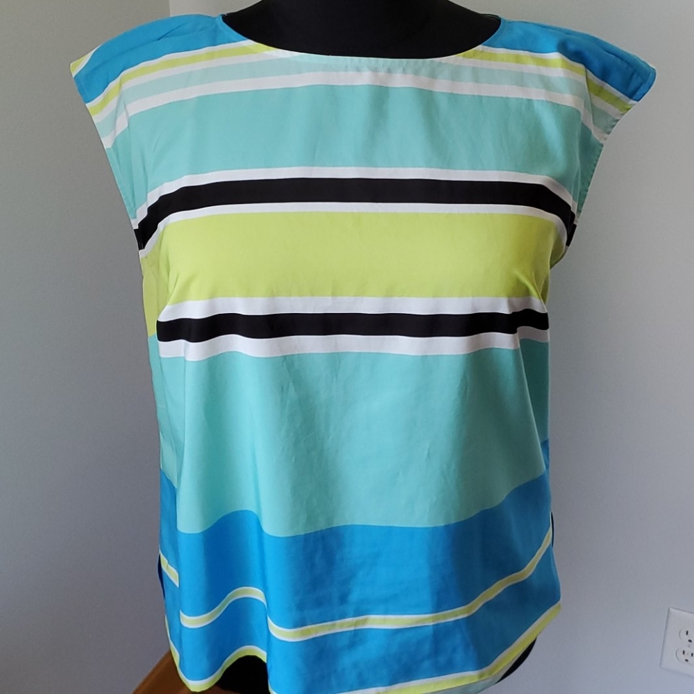 Blue striped blouse with cap sleeves.